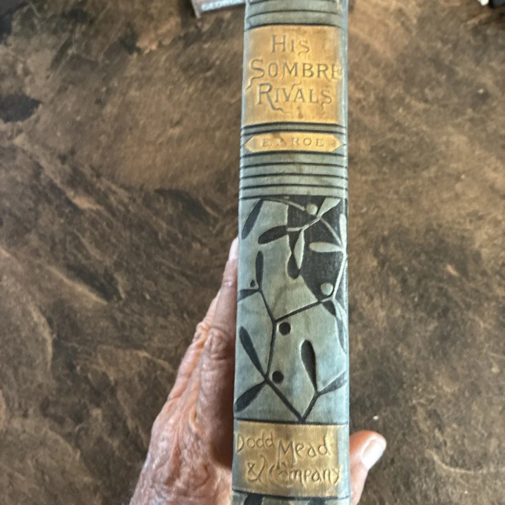 HIS SOMBRE RIVALS The Works of E P Roe. 1883 Dodd Mead and Co. 1st ED.